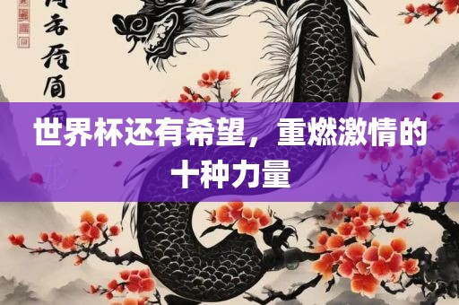 世界杯还有希望，重燃激情的十种力量