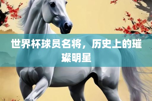 世界杯球员名将，历史上的璀璨明星