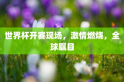 世界杯开赛现场，激情燃烧，全球瞩目