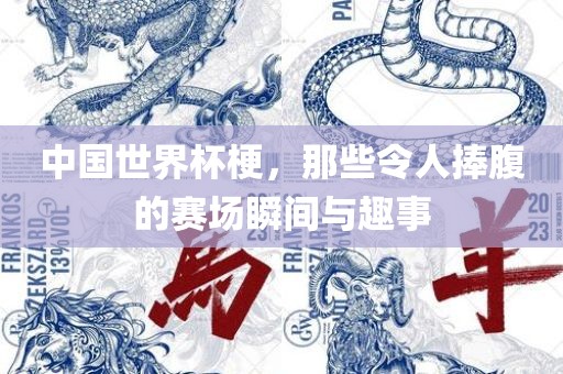 中国世界杯梗，那些令人捧腹的赛场瞬间与趣事眉山市正发家政服务有限公司