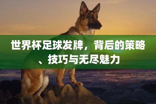 世界杯足球发牌，背后的策略、技巧与无尽魅力