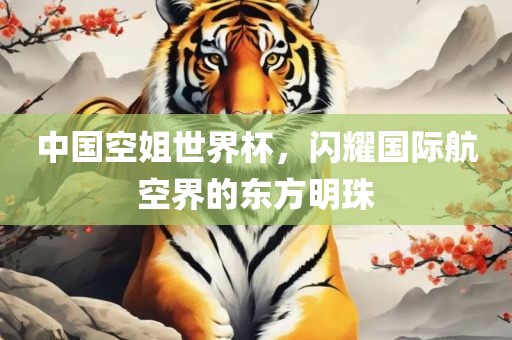 中国空姐世界杯，闪耀国际航空界的东方明珠
