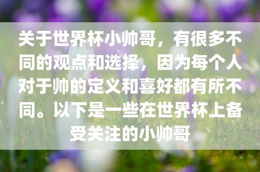 关于世界杯小帅哥，有很多不同的观点和选择，因为每个人对于帅的定义和喜好都有所不同。以下是一些在世界杯上备受关注的小帅哥