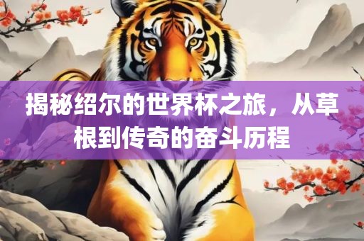 揭秘绍尔的世界杯之旅，从草根到传奇的奋斗历程眉山市正发家政服务有限公司