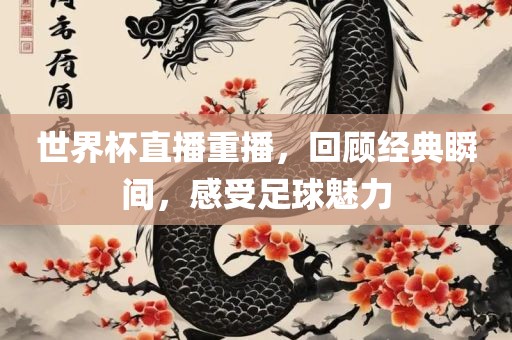 世界杯直播重播，回顾经典瞬间，感受足球魅力