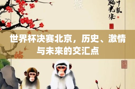 世界杯决赛北京，历史、激情与未来的交汇点