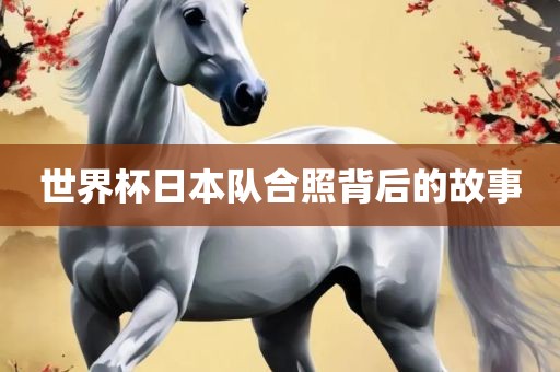 世界杯日本队合照背后的故事眉山市正发家政服务有限公司