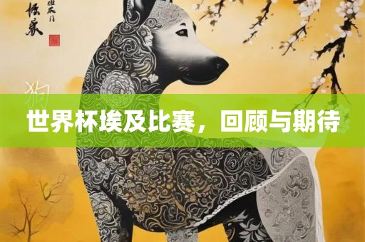 世界杯埃及比赛，回顾与期待