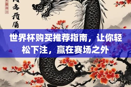 世界杯购买推荐指南，让你轻松下注，赢在赛场之外