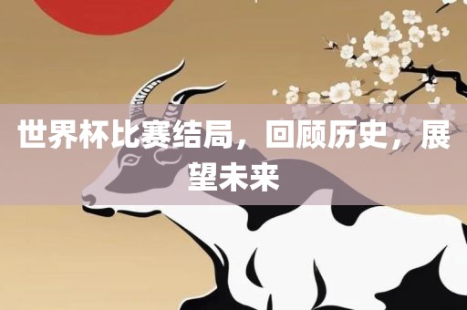 世界杯比赛结局，回顾历史，展望未来
