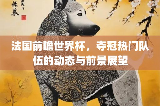法国前瞻世界杯，夺冠热门队伍的动态与前景展望眉山市正发家政服务有限公司