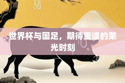 世界杯与国足，期待重逢的荣光时刻