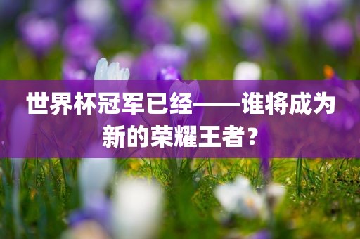 世界杯冠军已经——谁将成为新的荣耀王者？