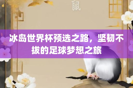 冰岛世界杯预选之路，坚韧不拔的足球梦想之旅