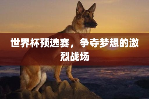 世界杯预选赛，争夺梦想的激烈战场