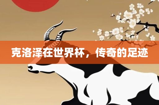 克洛泽在世界杯，传奇的足迹