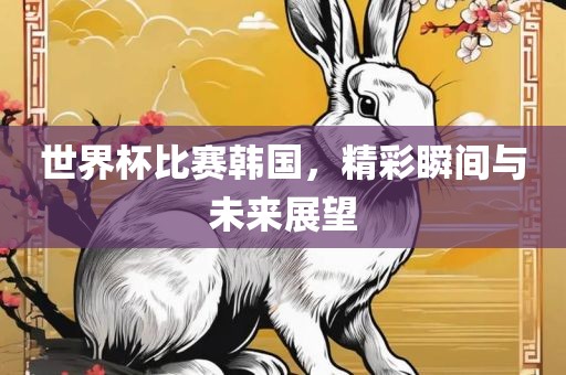 世界杯比赛韩国，精彩瞬间与未来展望