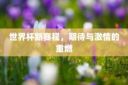 世界杯新赛程，期待与激情的重燃