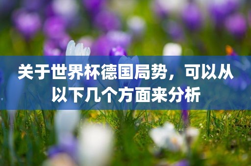 关于世界杯德国局势，可以从以下几个方面来分析