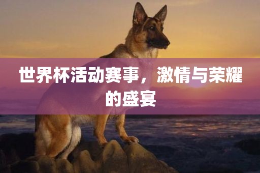 世界杯活动赛事，激情与荣耀的盛宴