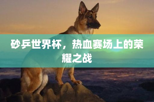 砂乒世界杯，热血赛场上的荣耀之战眉山市正发家政服务有限公司