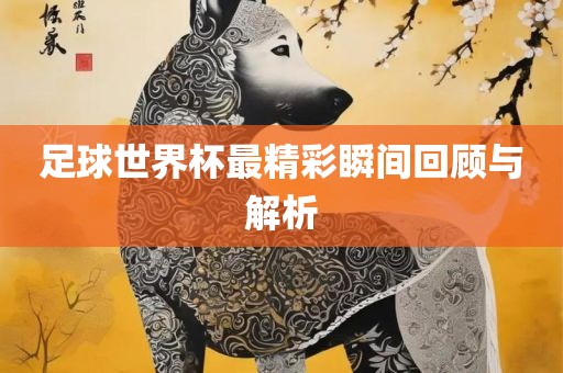 足球世界杯最精彩瞬间回顾与解析