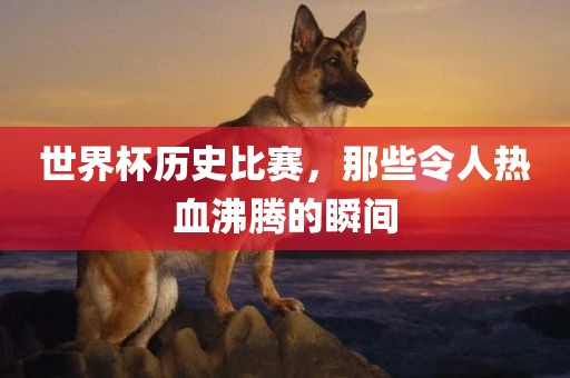 世界杯历史比赛，那些令人热血沸腾的瞬间