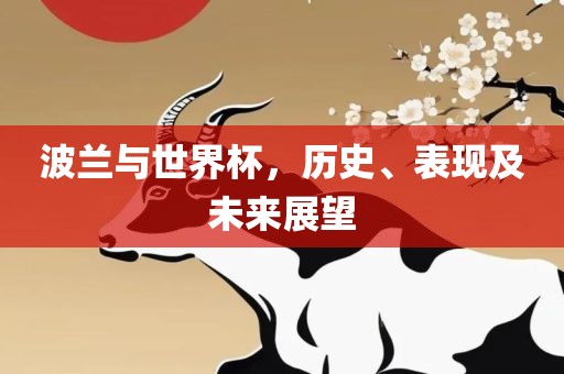 波兰与世界杯，历史、表现及未来展望眉山市正发家政服务有限公司