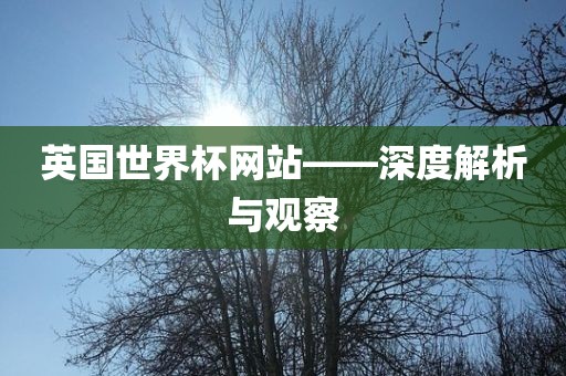 英国世界杯网站——深度解析与观察