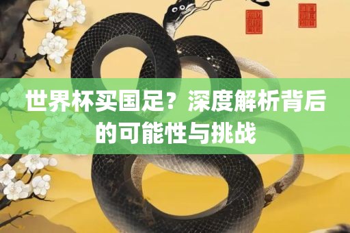 世界杯买国足？深度解析背后的可能性与挑战