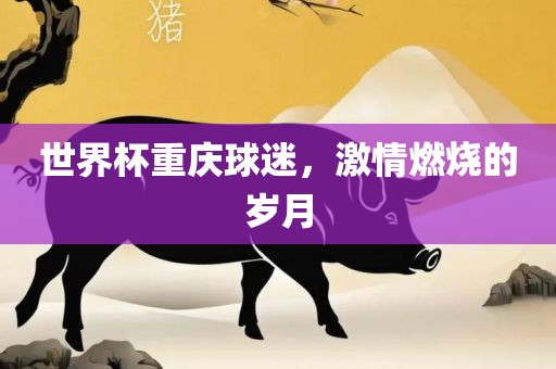 世界杯重庆球迷，激情燃烧的岁月