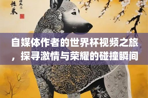 自媒体作者的世界杯视频之旅，探寻激情与荣耀的碰撞瞬间