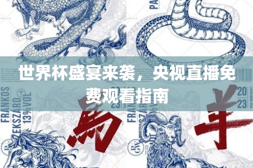 央视直播