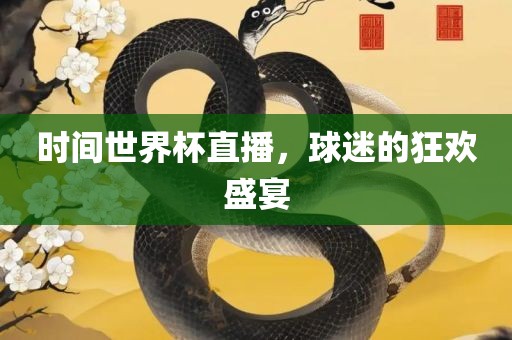 时间世界杯直播，球迷的狂欢盛宴