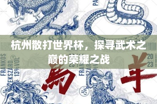 杭州散打世界杯，探寻武术之巅的荣耀之战