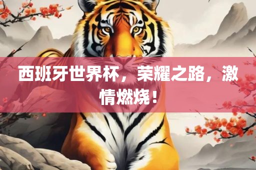 西班牙世界杯，荣耀之路，激情燃烧！