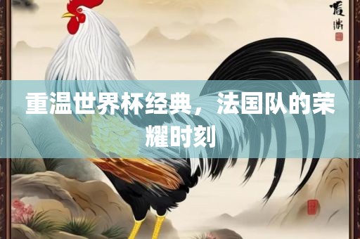 法国队荣耀时刻