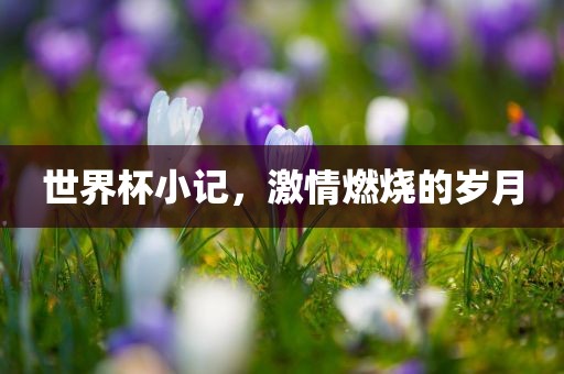 世界杯小记，激情燃烧的岁月