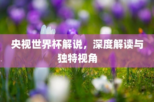 央视世界杯解说