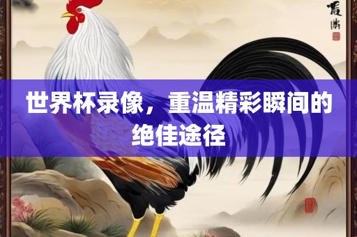 世界杯录像，重温精彩瞬间的绝佳途径