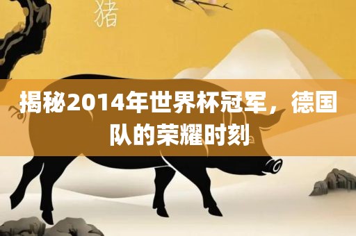 揭秘2014年世界杯冠军，德眉山市正发家政服务有限公司国队的荣耀时刻