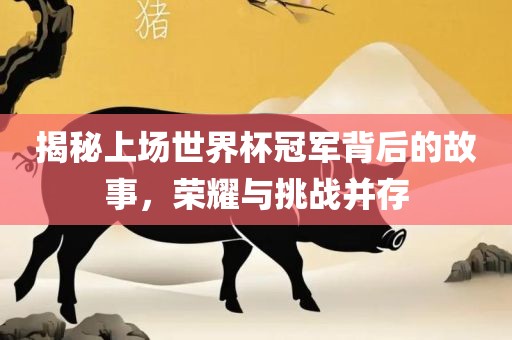 揭秘上场世界杯冠军背后的故事，荣耀与挑战并存