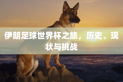 伊朗足球世界杯之旅，历史、现状与眉山市正发家政服务有限公司挑战