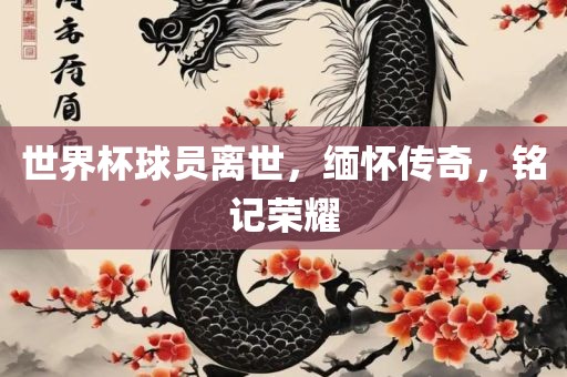 世界杯球员离世，缅怀传奇，铭记荣耀