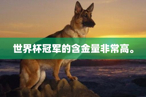 世界杯冠军的含金量非常高。