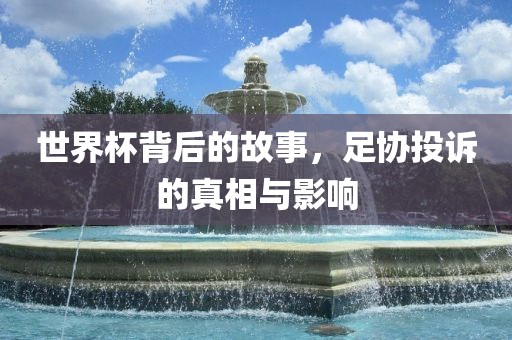 世界杯背后的故事，足协投诉的真相与影响