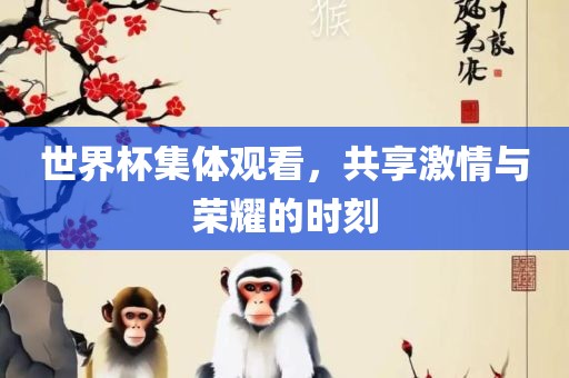 世界杯集体观看，共享激情与荣耀的时刻