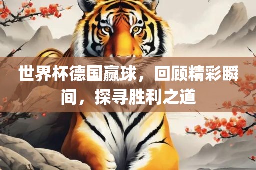 世界杯德国赢球，回顾精彩瞬间，探寻胜利之道