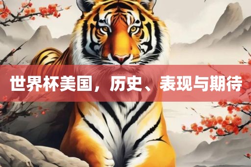 世界杯美国，历史、表现与期待
