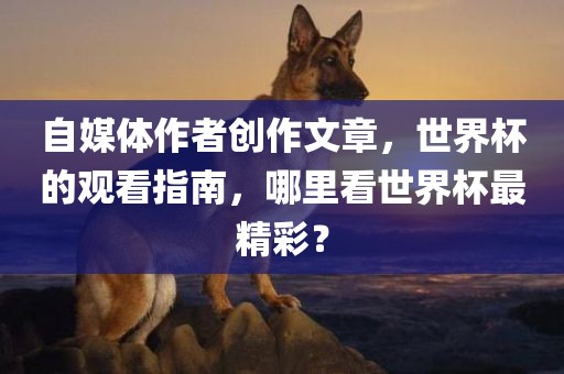 自媒体作者创作文章，世界杯的观看指南，哪里看世界杯最精彩？